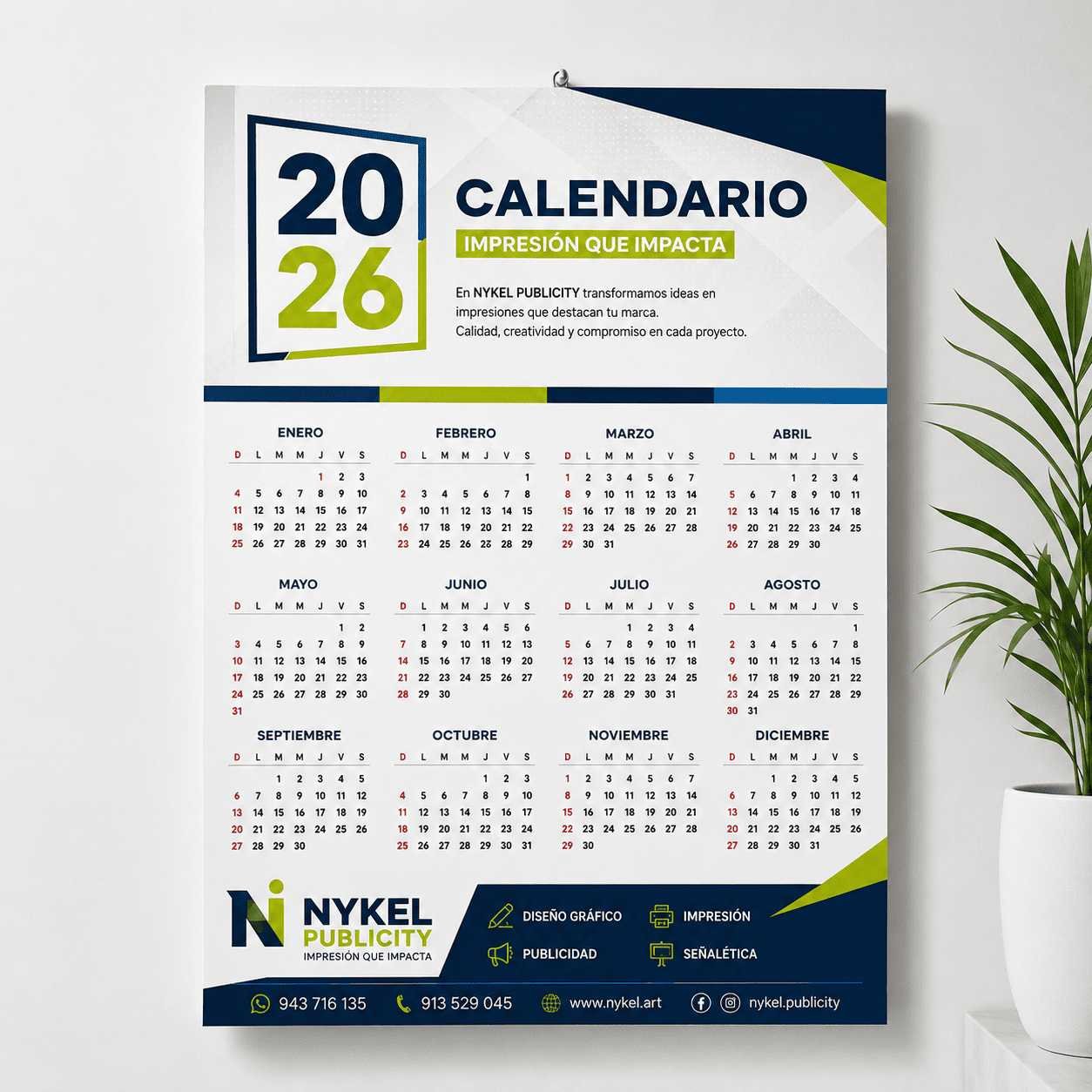 Calendario D-01